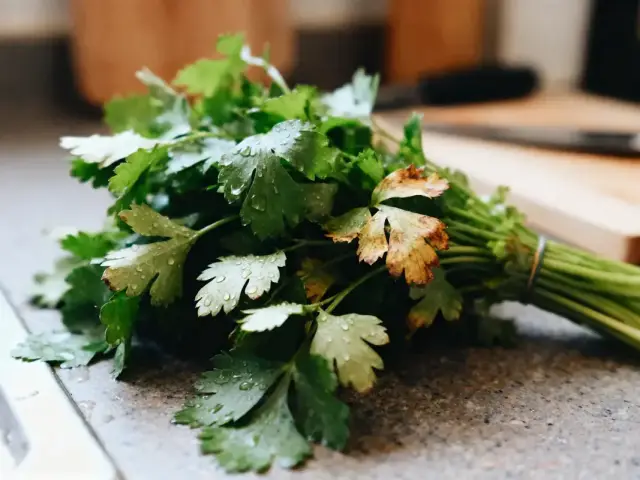 Bouquet de persil frais avec gouttes d'eau, posé sur un plan de travail de cuisine.