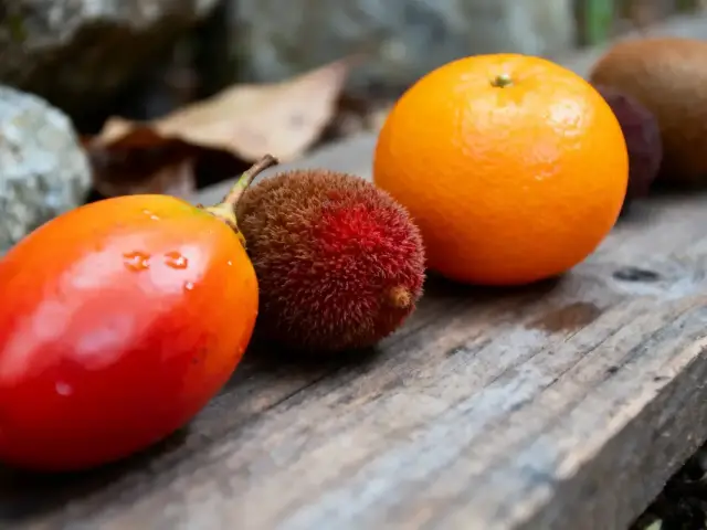 Fruits variés sur une planche en bois : tomate, fruit rouge, orange, kiwi. Fond flou.