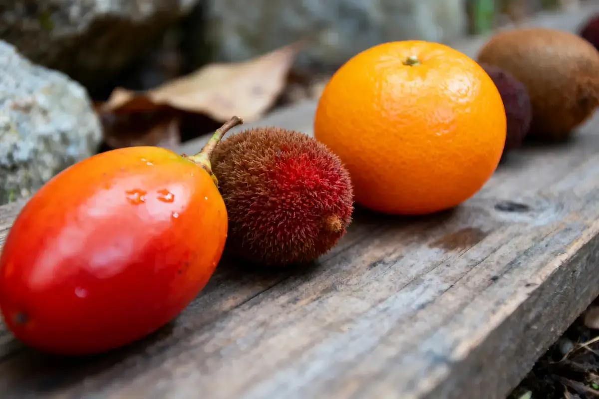 Fruits variés sur une planche en bois : tomate, fruit rouge, orange, kiwi. Fond flou.