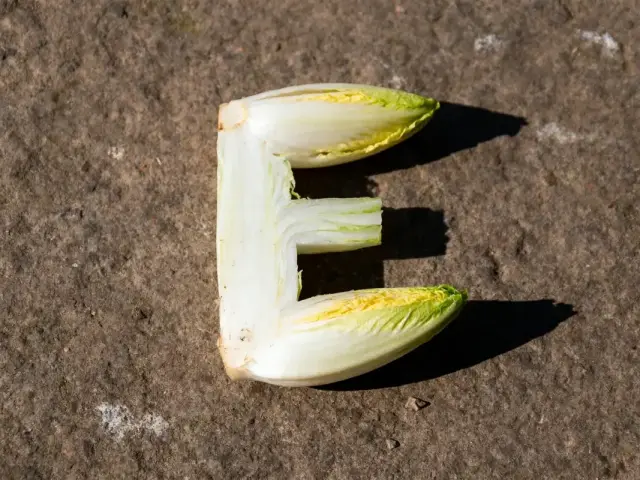 Lettre "E" formée avec des morceaux d'endive blanche, sur surface de pierre. Ombre visible.
