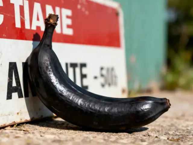 Banane mûre noire posée contre un panneau rouge et blanc, sur un sol bétonné ensoleillé.
